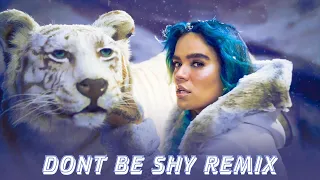 Tiësto & Karol G - Don't Be Shy (Remix) | DJ Emmyshake