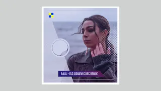 BÁLLI - Під дощем(Zaec Remix)