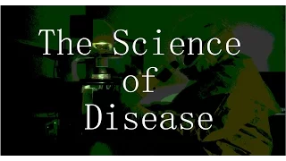 The Science of Disease: World War Z (2013) vs. Contagion (2011)