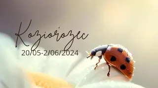 Koziorożec ♑ 20/05-2/06/24 🐞 Wyjdź ze swojej głowy i posłuchaj serca ❤️