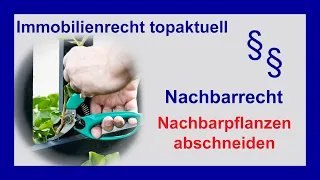 Nachbars Pflanzen abschneiden - Nachbarschaftsstreit | Tutorial