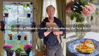 Creating a Window Garden & Introducing the New Kitten!