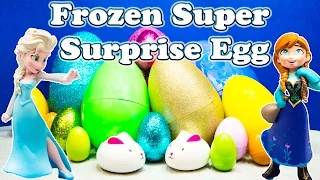 What is inside the FROZEN  Queen Elsa  Surprise Eggs with the Assistant