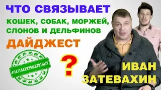 ЧТО СВЯЗЫВАЕТ КОШЕК, СОБАК, МОРЖЕЙ, СЛОНОВ И ДЕЛЬФИНОВ?  (Дайджест)