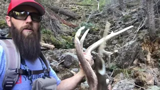 Elk Shed Hunting Highlights Part 1