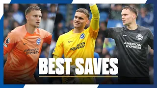 BART VERBRUGGEN | Best Saves 2023/24 🇳🇱