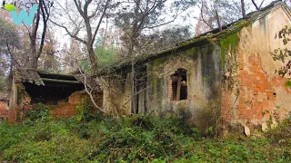 Having failed in business. The man renovates an abandoned house and survives alone in the forest