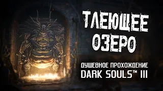 Ностальгия по DS3 (часть 8). Тлеющее озеро.