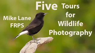 Five hotspots for wildlife photography.