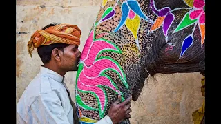 Индия: В царстве слонов.