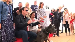 Tarantino accepts 'Palm Dog' for 'Once Upon a Time...' canine