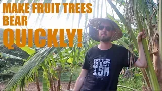 The Trick to Make Fruit Trees Bear Quickly