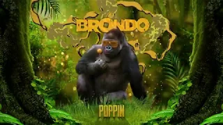 Brondo - Poppin