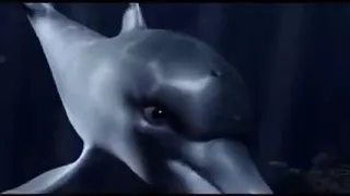 dany le dauphin 2009 film animation enfant complet en francais