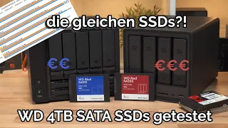 Western Digital WD Blue SA510 und WD Red SA500 SATA SSDs im Vergleich