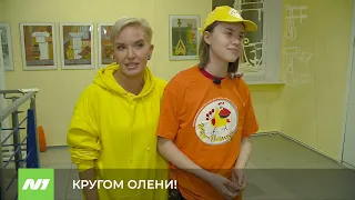 КРУГОМ ОЛЕНИ!