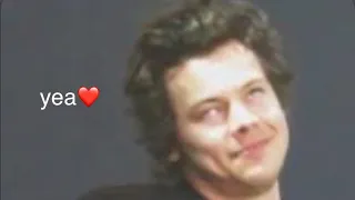 Harry Styles being a literal comedian for 3 minutes straight