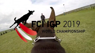 FCI IGP World Championship 2019: Intro