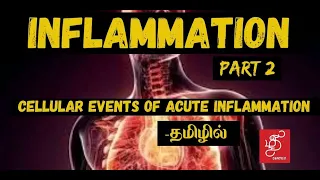 CELLULAR EVENTS OF ACUTE INFLAMMATION - GENERAL PATHOLOGY (INFLAMMATION PART 2 )