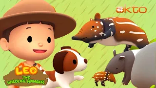 🔎 Help the BABY tapir find its MOTHER! 😭 | Leo the Wildlife Ranger | @mediacorpokto