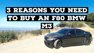 3 REASONS YOU NEED TO BUY AN F80 BMW M3 NOW!