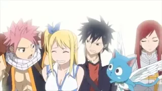 [AMV] Fairy Tail - We Are Family