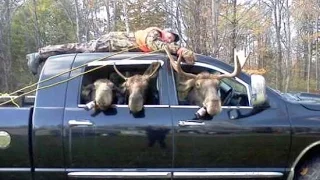 Авто Юмор Приколы Подборка Февраль 2015 Car Humor Compilation #3