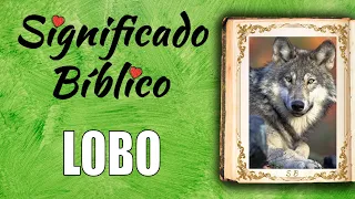 Lobo Significado Bíblico | ¿Qué Significa Lobo en la Biblia? 🙏