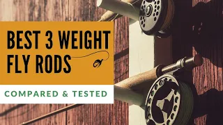 Best 3 Weight Fly Rods (Tested & Compared)