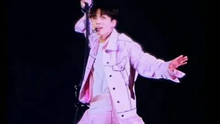 190505 JUNGKOOK-BTS EUPHORIA (Fly) SPEAK YOURSELF Tour Rose Bowl LA day 1