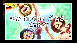 Hey brother amv // ASL one piece //