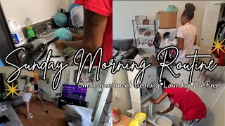 *SUNDAY RESET| clean my apartment with me, dusting + laundry motivation| get it all done
