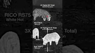 640 vs 1280 #thermal #hunting #hoghunting