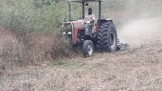 trator massey Ferguson 275 roçando o pasto bruto. vn142