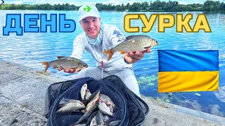 Чемпіонат України з ловлі риби фідером 2023🇺🇦 Тренування‼️ Київ 6-7 сходи Дніпровської набережної