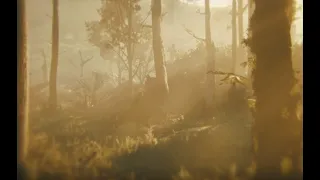 Arthur's last ride (high honor)