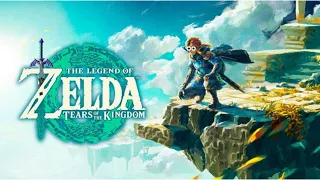 I Literally... CAN'T STOP PLAYING! | LoZ Tears of The Kingdom
