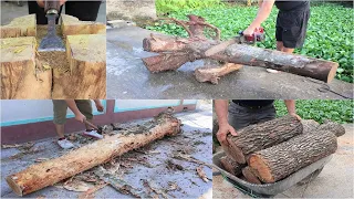 Golden Hand In Job Wood Recycling From Dead Tree Stumps And Ugly Log // Best Woodworking Project