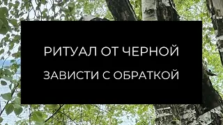 Чистка с обраткой