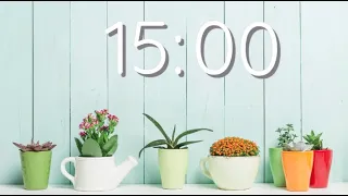 15 Minute Countdown Timer | Succulent | Silent