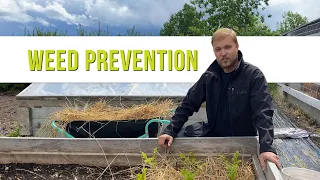 Two Simple Solutions To Stop Garden Weeds | How to Country