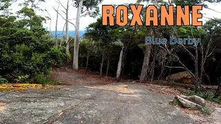 Roxanne Full run | Blue Derby MTB Trails | Black Diamond run.