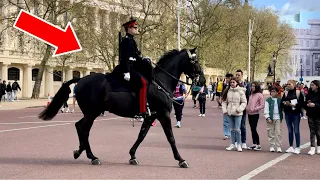 ROYAL BOSS surprise-rides his MOST BEAUTIFUL Horse down the Mall