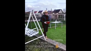 О куыд хорз у амбалдтима