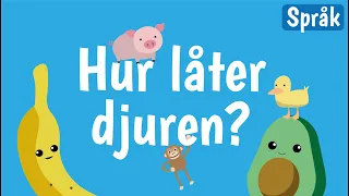 Djur och ljud för barn | Lär dig djurens namn och härma deras läten | Svenska | Banan och Avokado