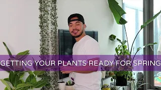 How I Get My Indoor Plants Ready For Spring | Houseplant Maintenance