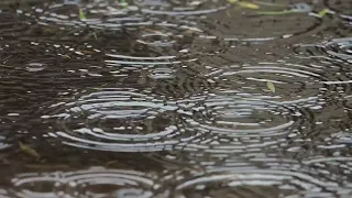 А ХОЧЕШЬ, Я ТЕБЕ ПРИСНЮСЬ.. СТИХ ДО СЛЕЗ