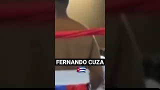 CUBANO FERNANDO CUZA NOQUEA Y MEJORA A 2-0. #boxeo #shorts 🥊🇨🇺🔥💪
