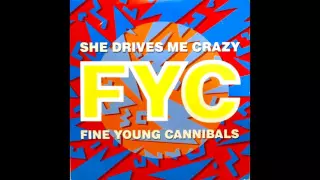 Fine Young Cannibals - She drives me crazy ''Extended Version'' (1988)