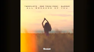 TWOPILOTS & One Trick Pony & Bjerke - All Because Of You